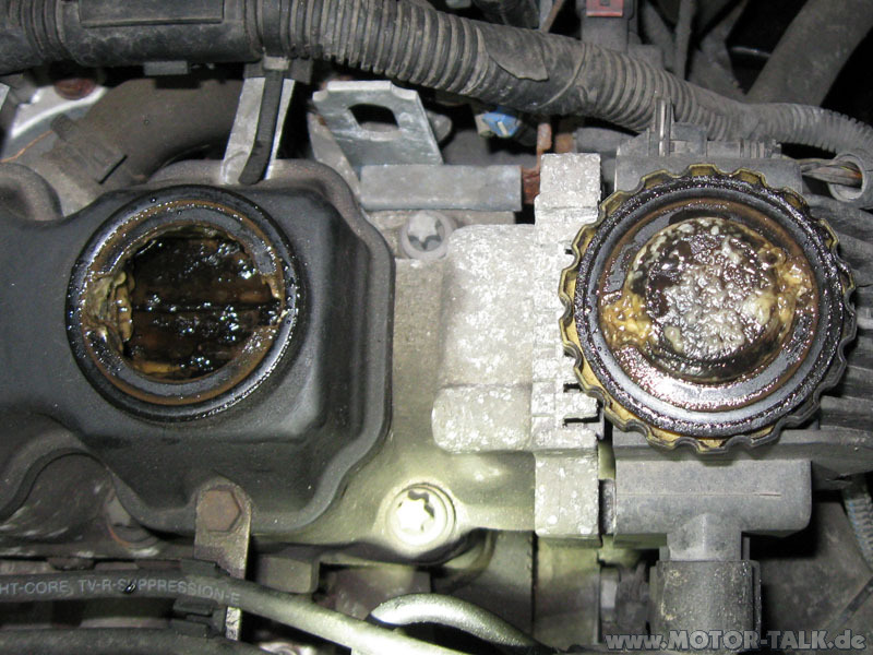 Motor-oel : Kühlwasser Gelb - Braun & Abgasgeruch : Opel ...