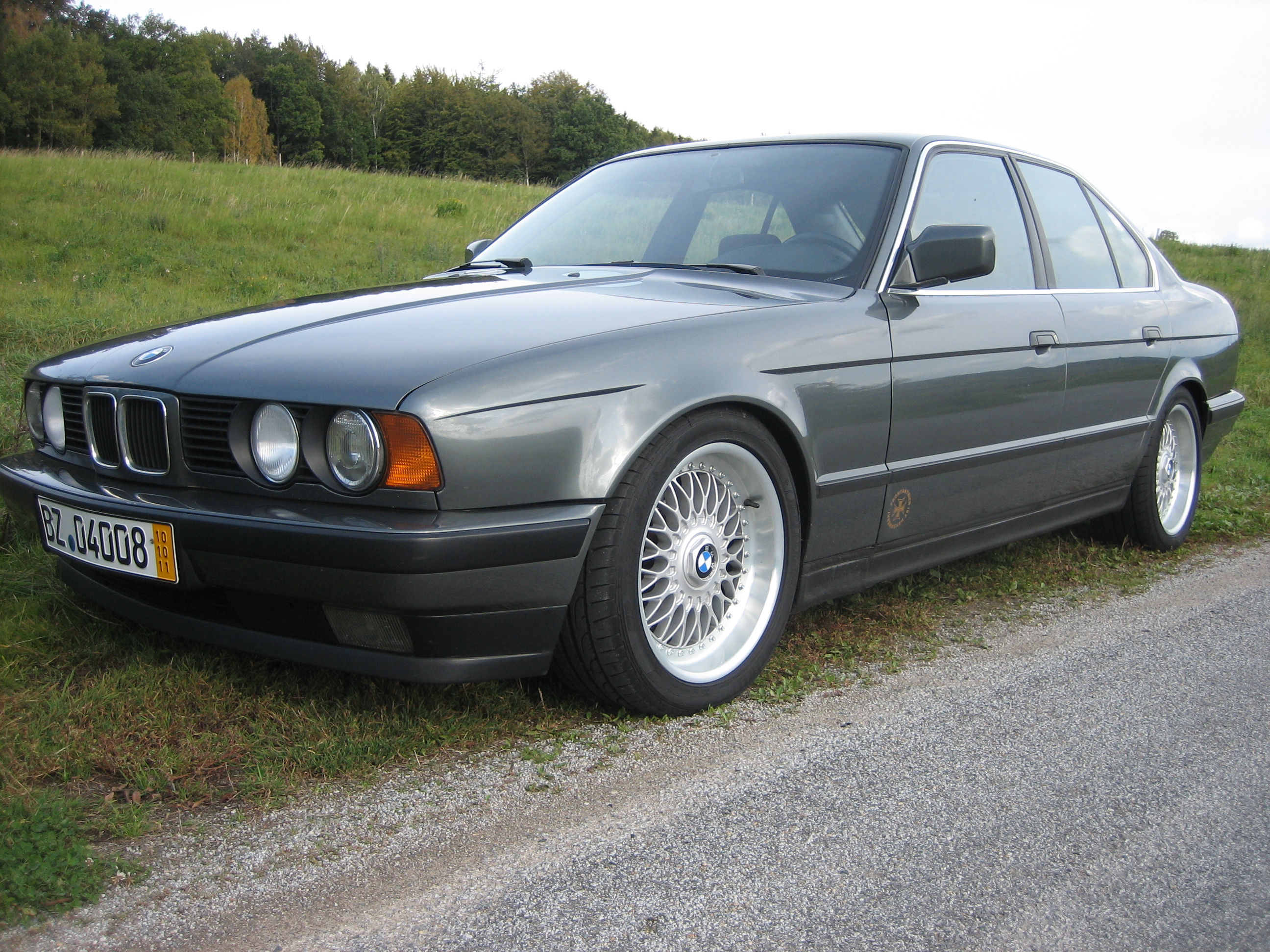 Zierleisten bmw 5er e34 #5