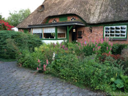 Things are changing--> Oldtimer Haus versus Oldtimer Autos.....