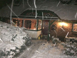 Schnee-- > Freud oder Leid..??
