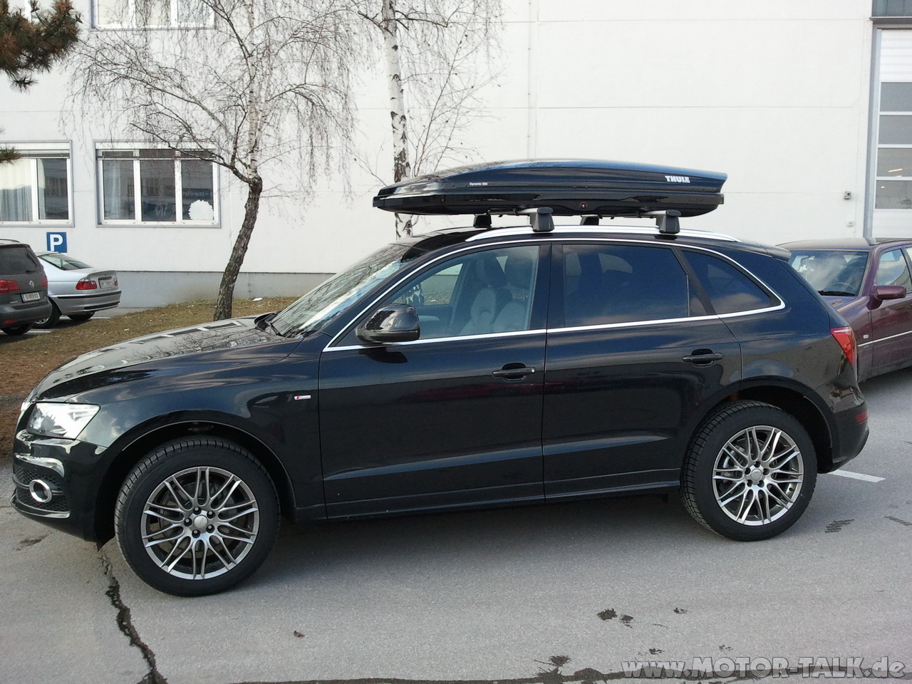 Thule dynamic 800