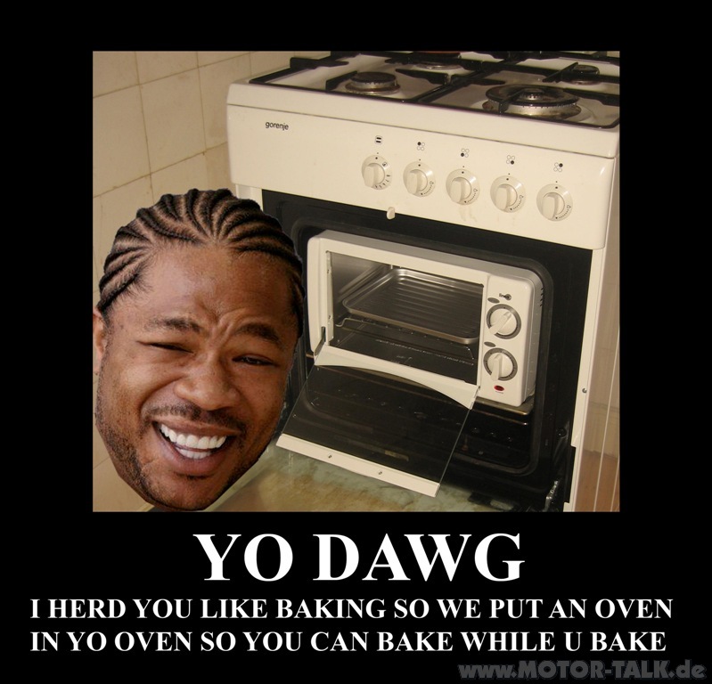 yo-dawg-oven-7090376016426390951.jpg