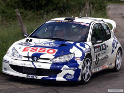 Peugeot 206 WRC Rally HUGE Anti-Lag Backfire!!