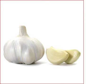 knoblauch-26891.jpg