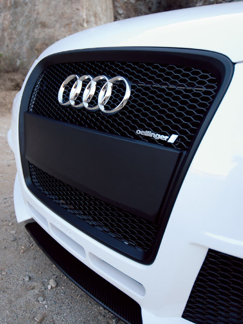Audi Front Grille