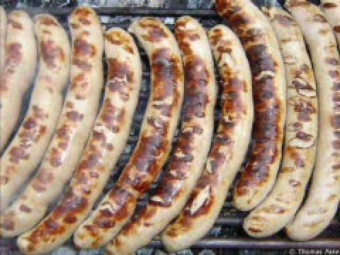 Elsterglanz Röstertaube Elsterglanz Röstertaube