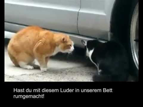 Richie - Lach Isch, Oda Was? Richie - Lach Isch, Oda Was?