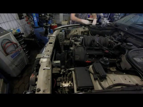 Harald Schmidt Jaguar Video