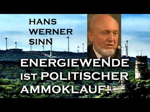 Hans Werner Sinn Energiewende Kann Nicht Funktionieren Kostet Nur Furchterlich Viel Geld Video