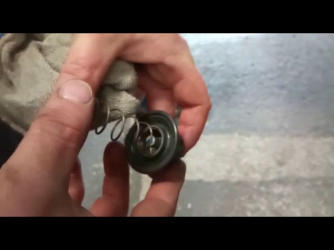 Am besten quietschende Videos Reiten im großen Schwanz
