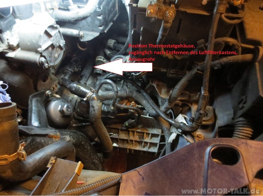 Bild2 Ford Focus Mk2 Thermostat defekt/ wechseln Ford