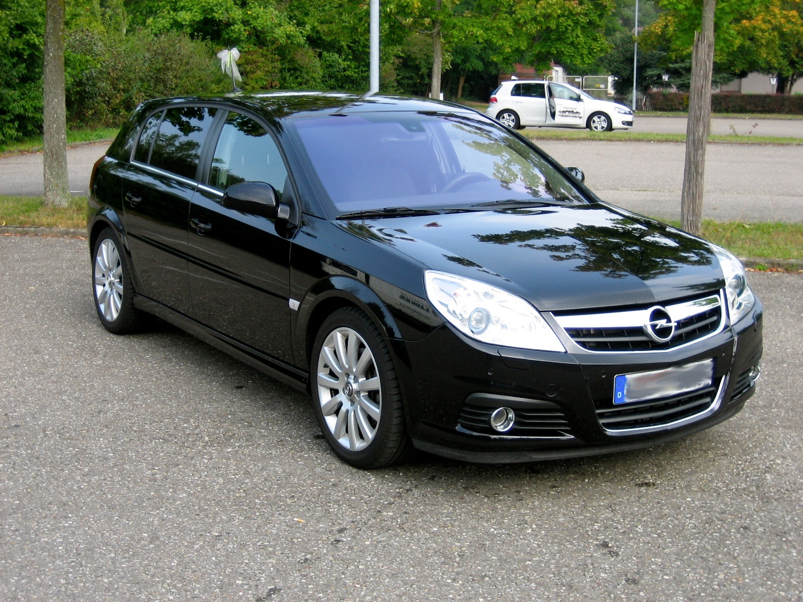 Opel signum габариты