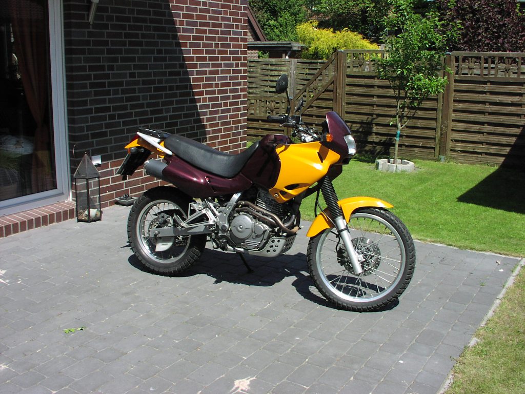 Honda Dominator NX 650 RD08 zu verkaufen : Biete Motorrad