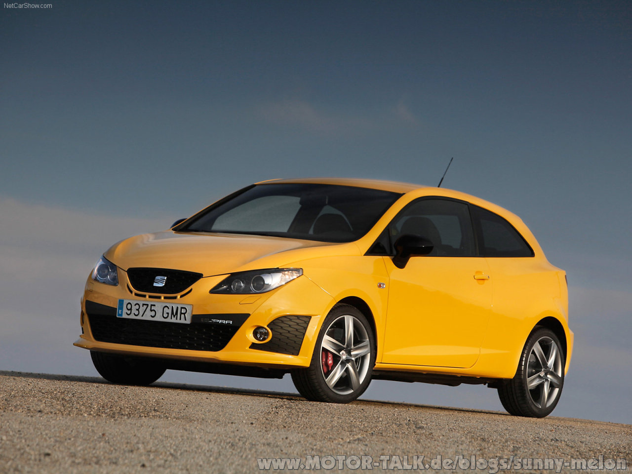 2009 Seat Ibiza Cupra related infomation,specifications - WeiLi ...