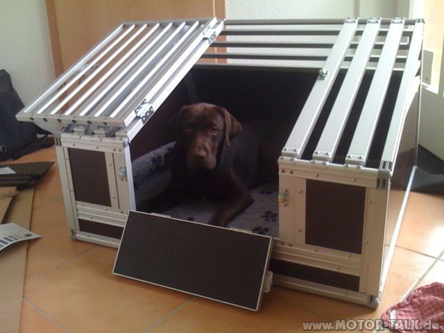 hundebox für labrador