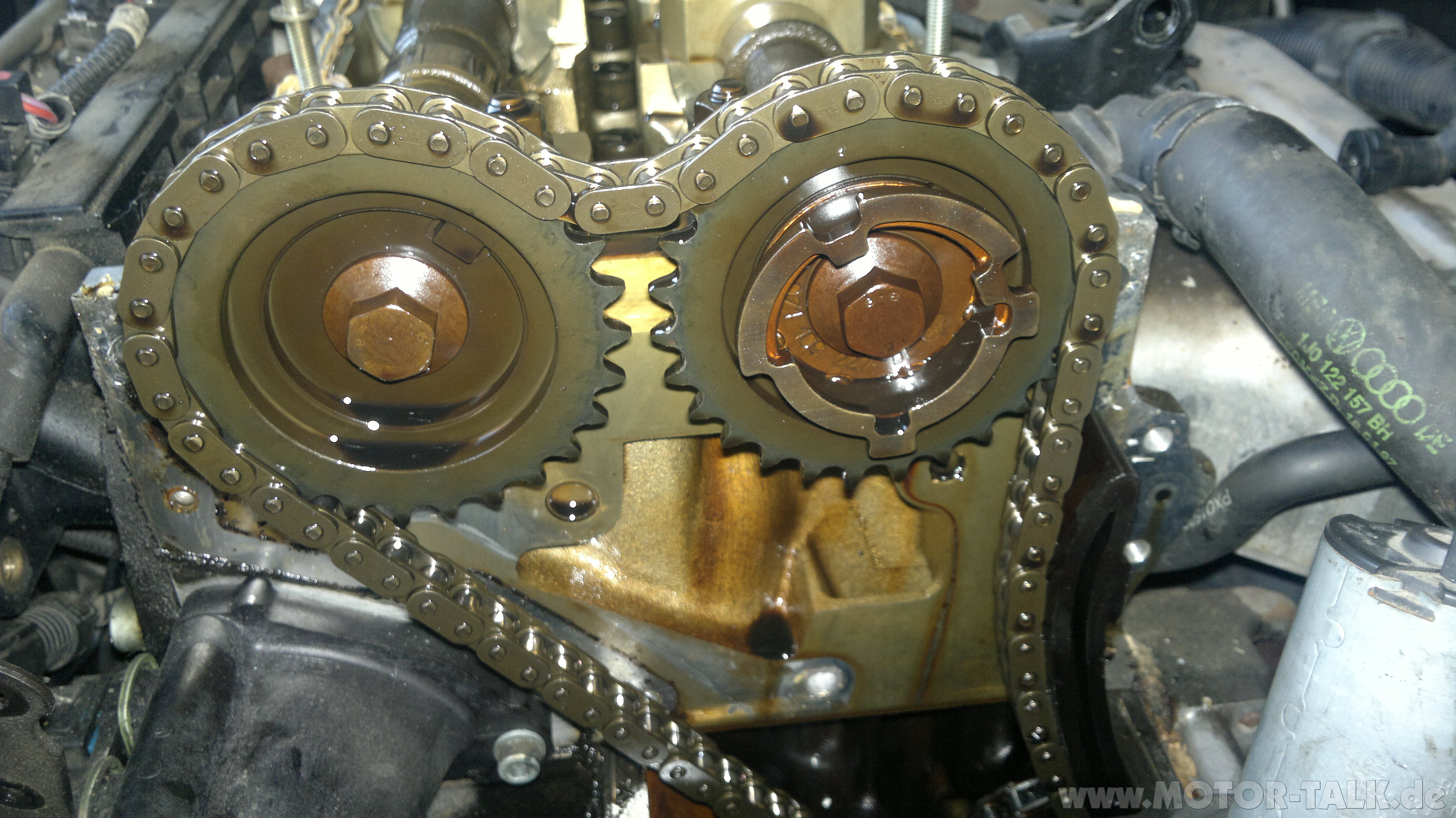 2012-03-25-038 : Bora V5 Steuerkette : VW Motoren : #204408856