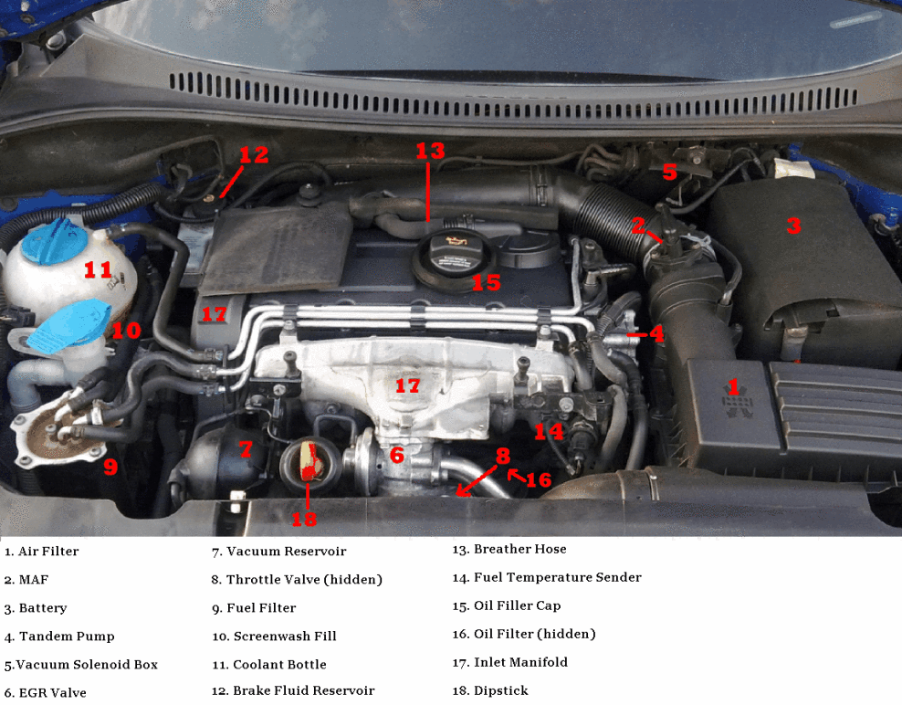 engine-bay-bkd2-1-passat-3c-bkp-pfeift-vw-passat-b6-cc-204100070