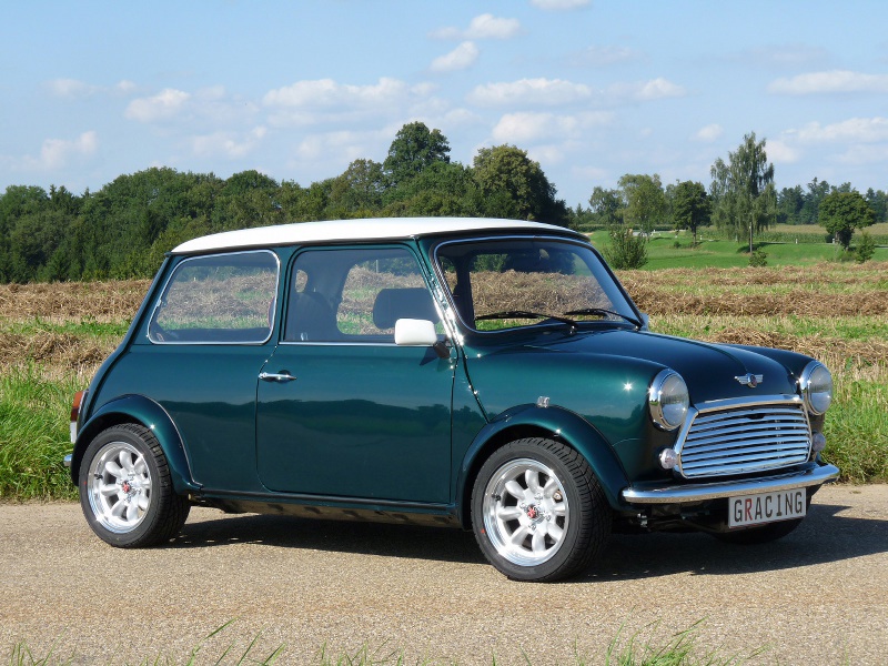 Rover mini mk