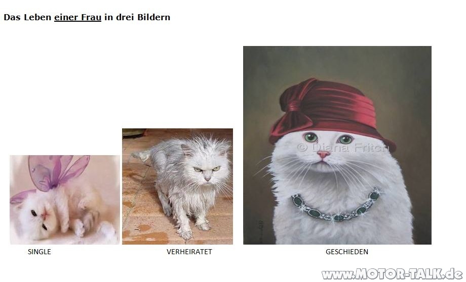 Leben als single frau