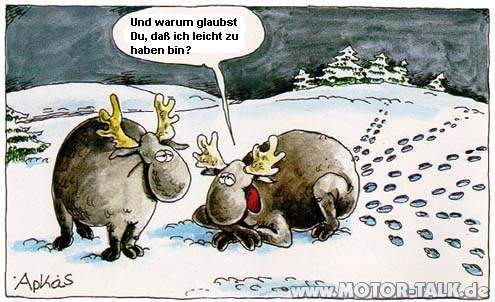 Elch Damit wir alle was zum lachen haben! D Opel Omega & Senator