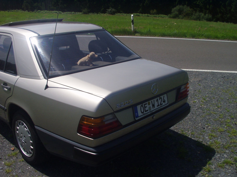 Mercedes w124 isofix #5