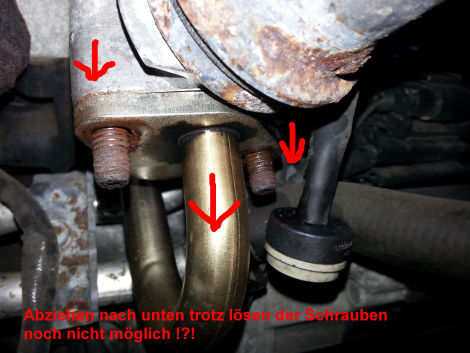 Der Motor reno logan 1.6 8 Ventile das Benzin