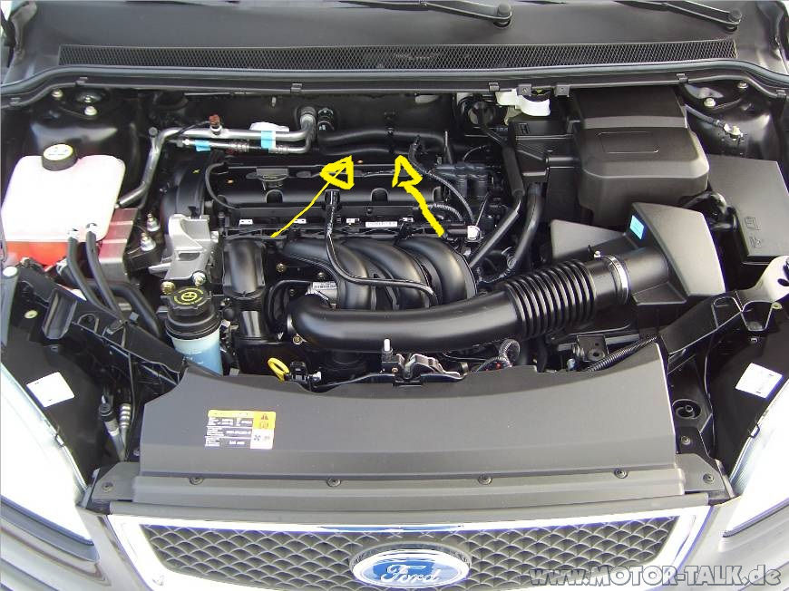 Motorraum schlauch Ford Focus MK2 1 6 Liter Benziner Welcher motorraum-schlauch-ford-focus-mk2-1-6-liter-benziner-welcher