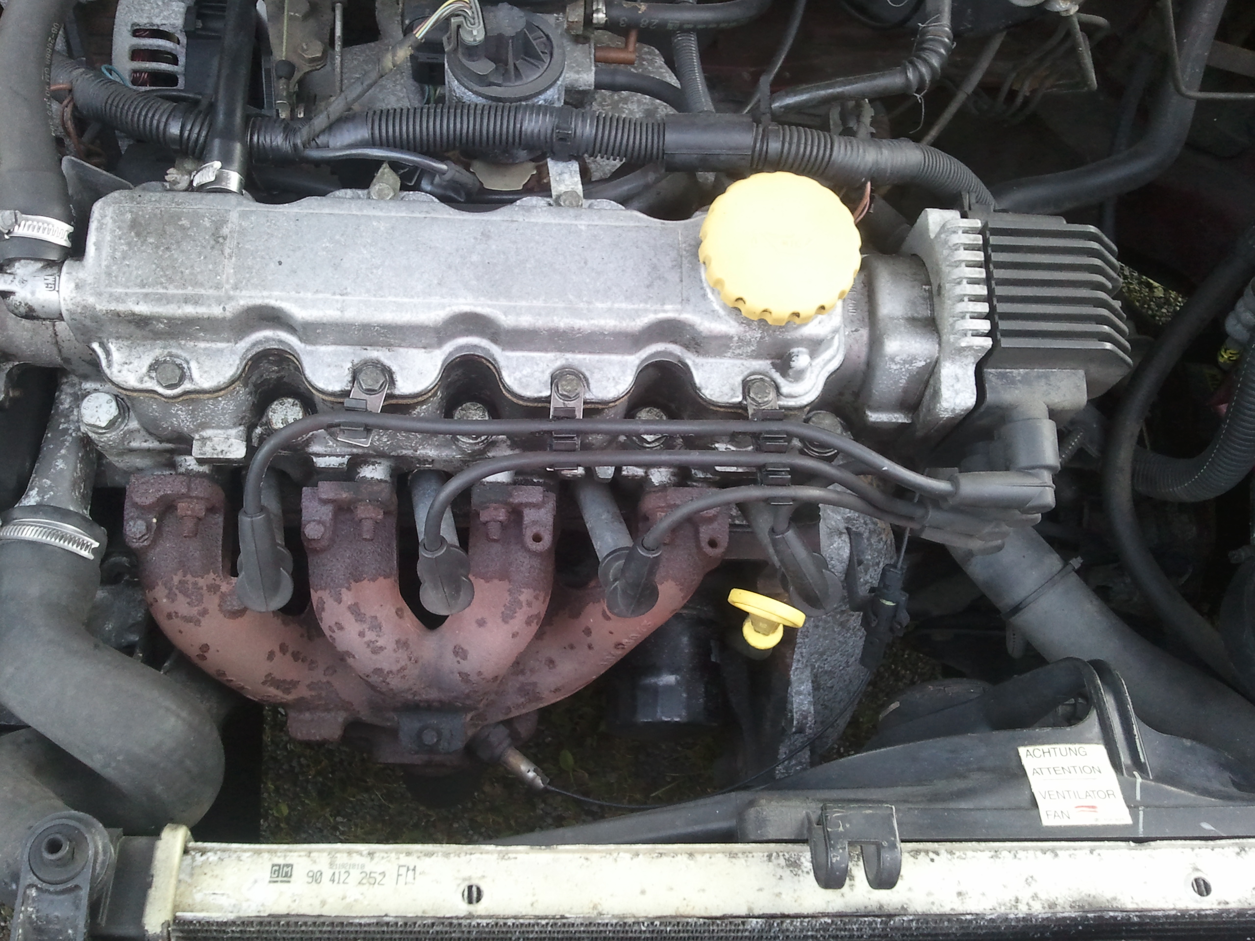 Astra F Cabrio 1 6 Bertone Leder zum Schlachten verkaufe