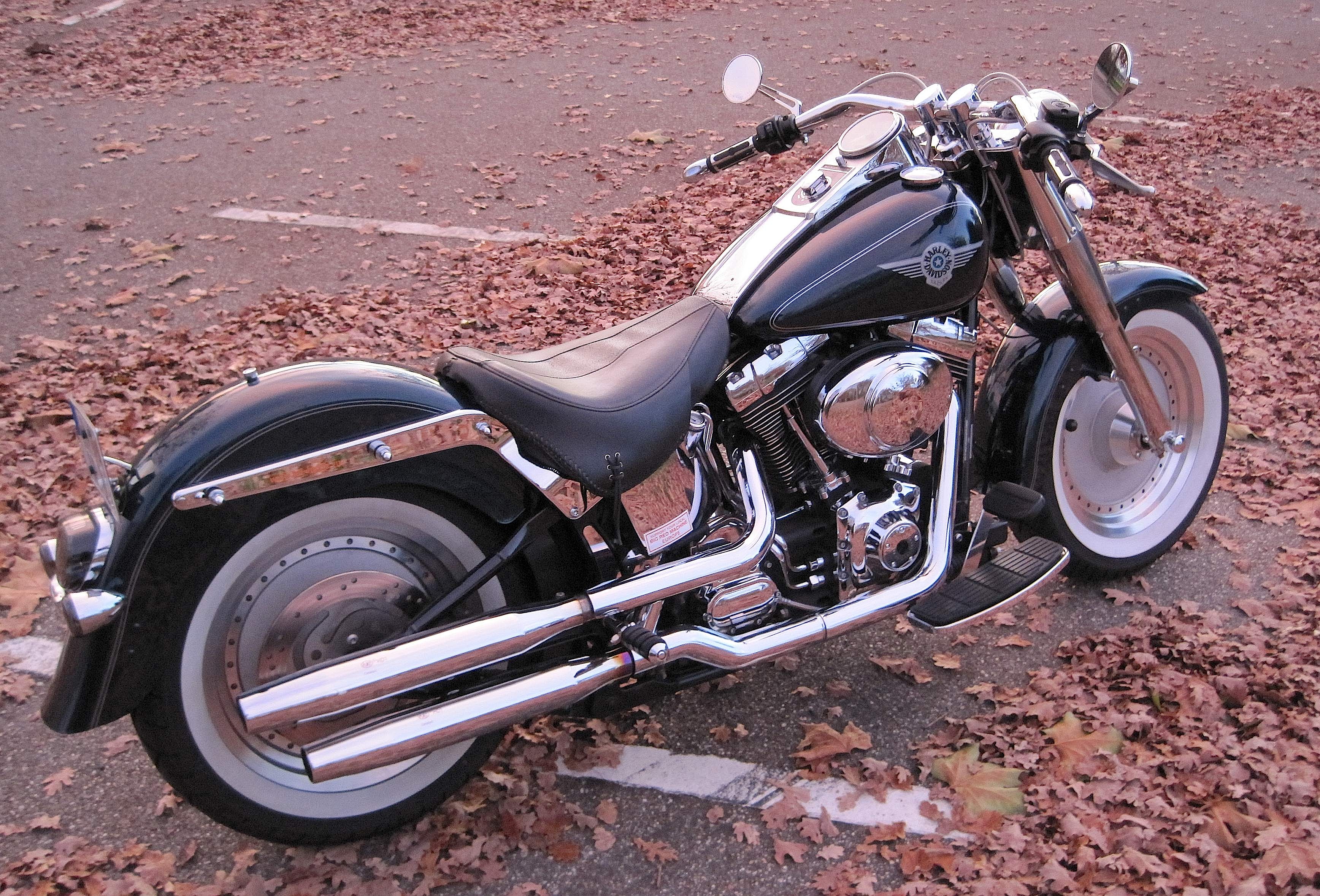 44 Harley Davidson Fatboy Evo Top