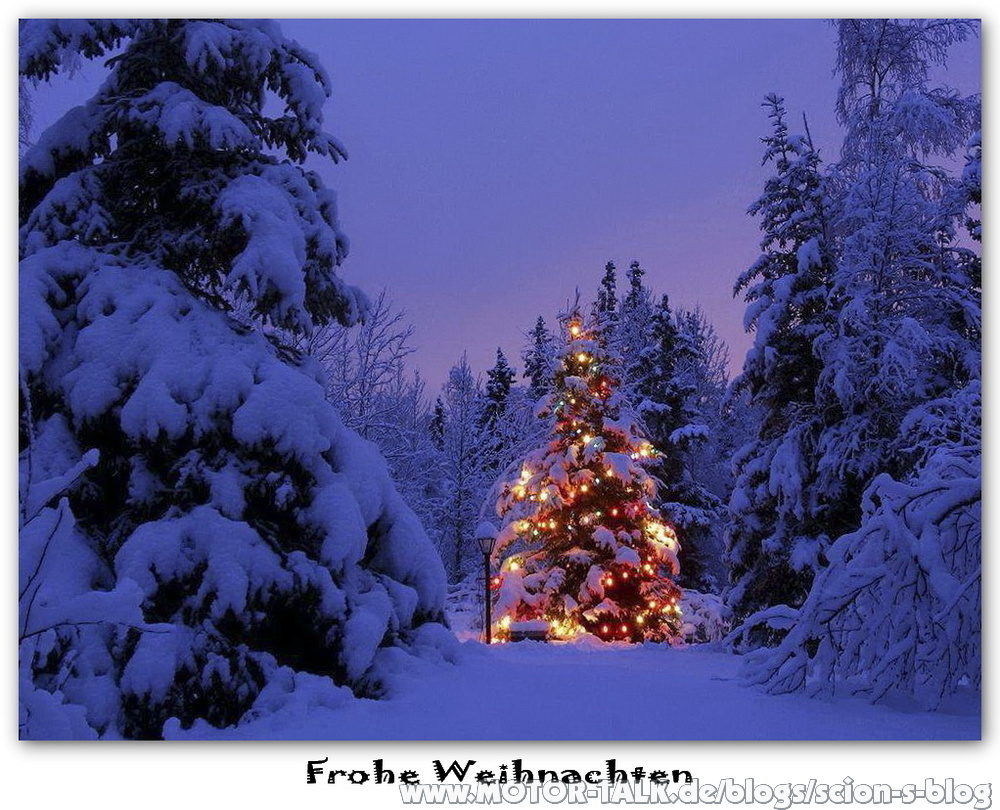 Frohe-weihnachten : Scion's Weihnachtsblog : Scion's Blog : #205800214