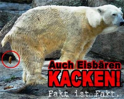 ficken