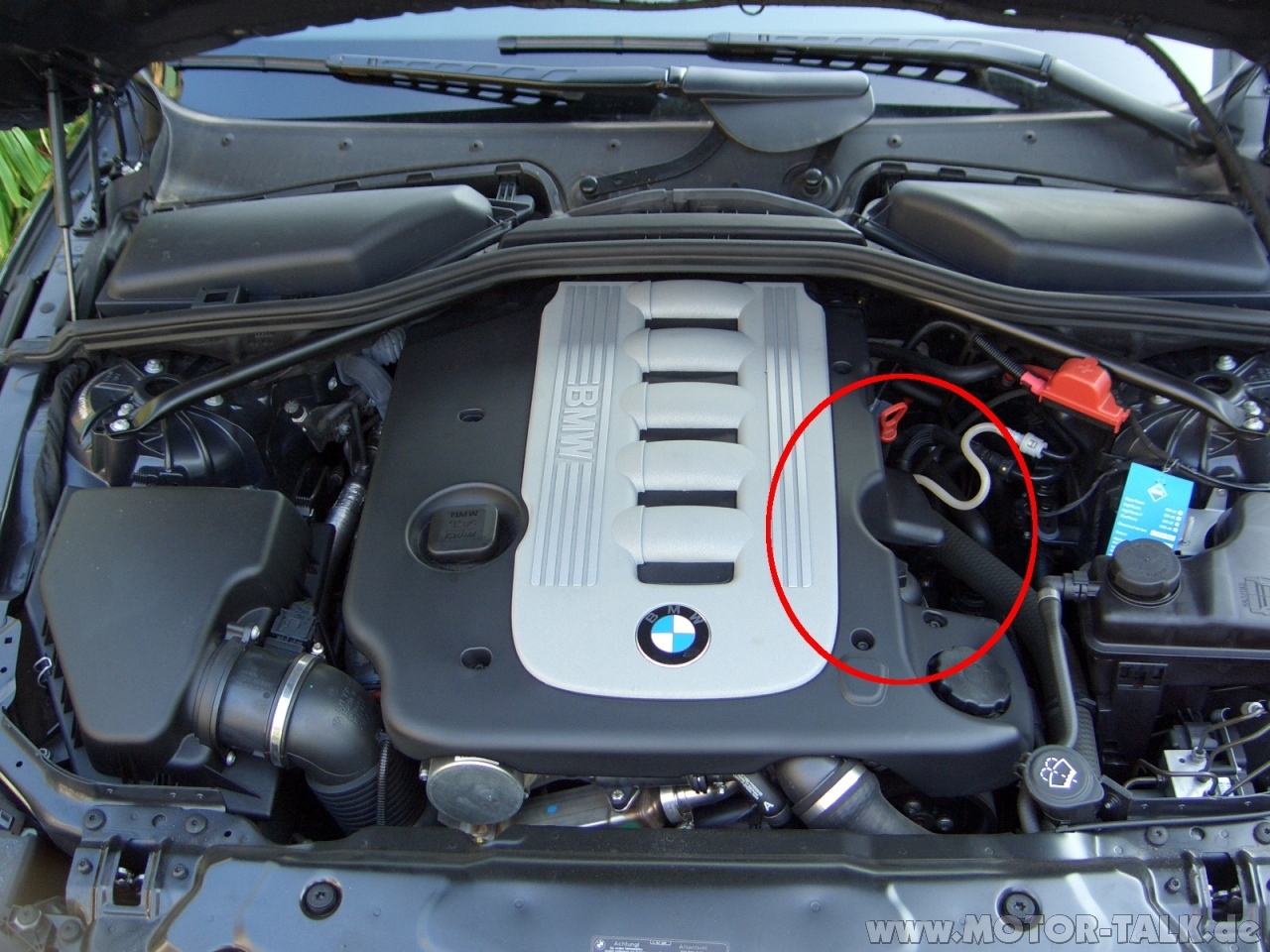 Bmw e39 wo ist das lichtmodul