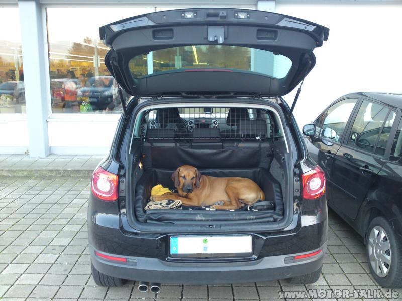 K800dsc006231 Kofferraumauskleidung für Hund VW Tiguan 1 203714536