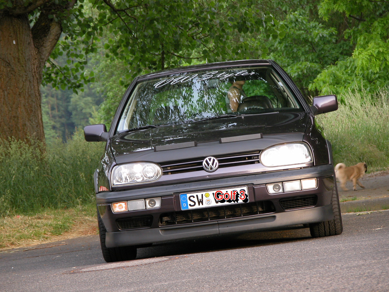 Golf 3/ Vento Front Biete Volkswagen