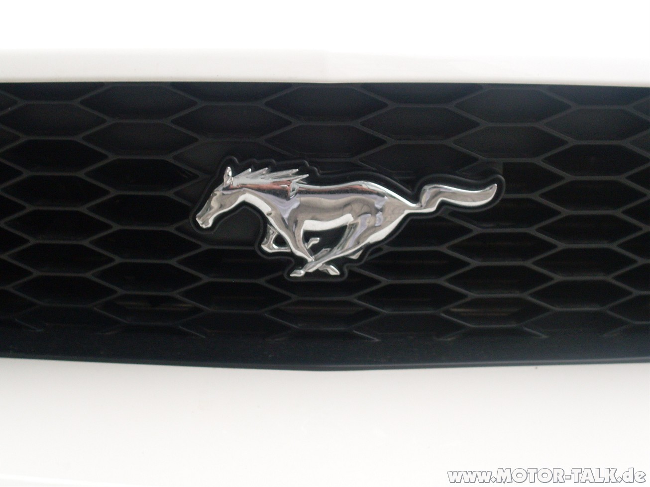 2005 Ford mustang emblem #6